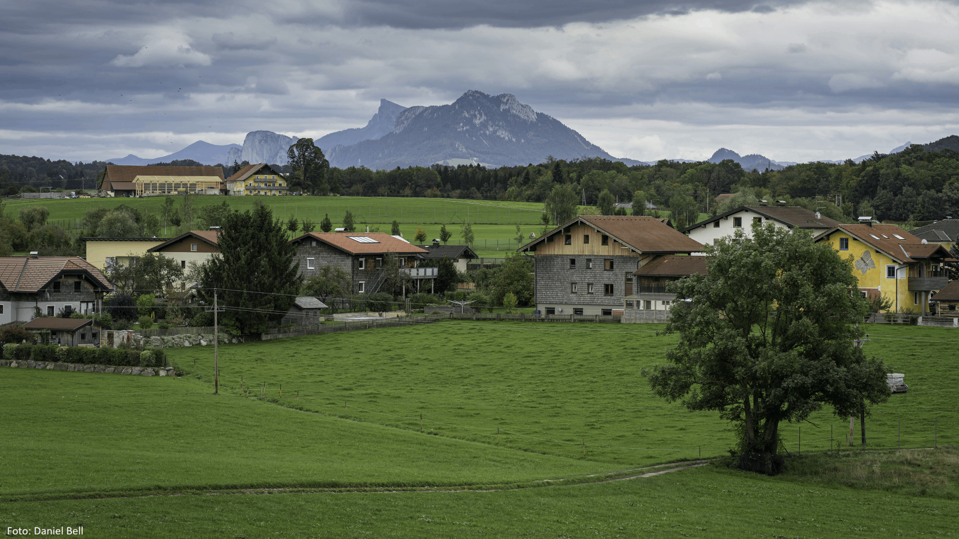 Ländliche Gegend mit Häusern, Wiesen, Bäumen und Bergen im Hintergrund